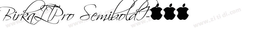 BirkaLTPro SemiboldI字体转换